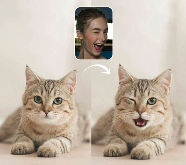 Stay Consistent Across Projects